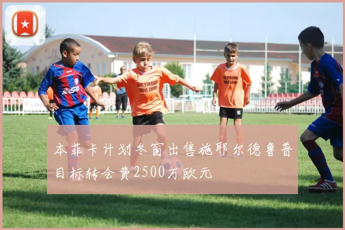 本菲卡计划冬窗出售施耶尔德鲁普目标转会费2500万欧元