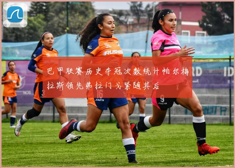 巴甲联赛历史夺冠次数统计帕尔梅拉斯领先弗拉门戈紧随其后