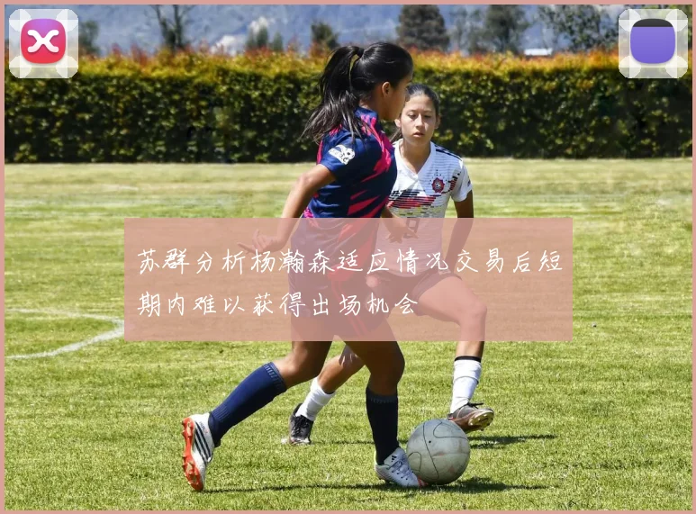 苏群分析杨瀚森适应情况交易后短期内难以获得出场机会