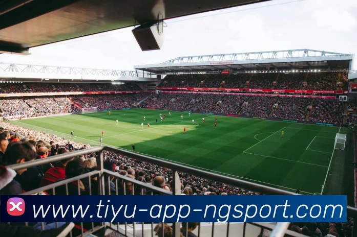 南宫体育平台生态图